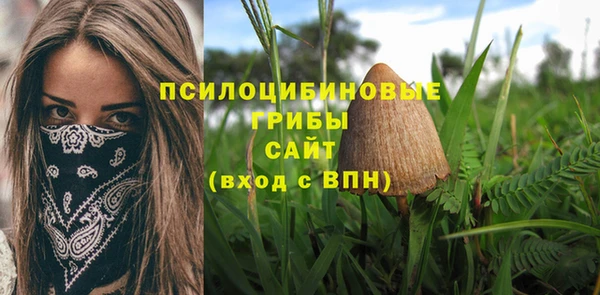 скорость Арсеньев